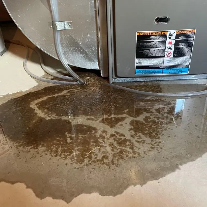 Pipe Burst and Leak Restoration in South Salt Lake, UT